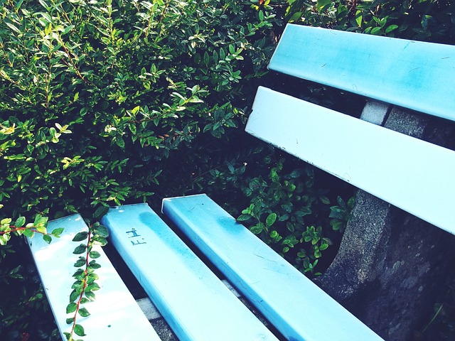 1xBET：球迷横幅阻挡了安全出口，导致波鸿vs法兰克福延迟开球.