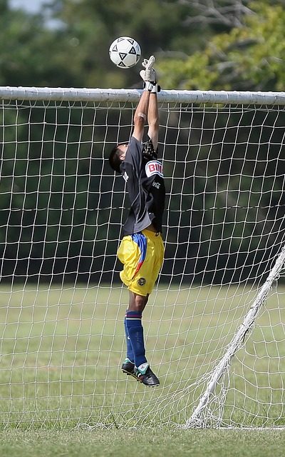 主优化词-湖北队力挫强敌赢得信心